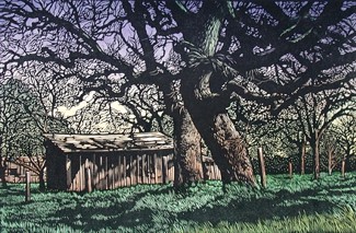 Twilight Oaks
